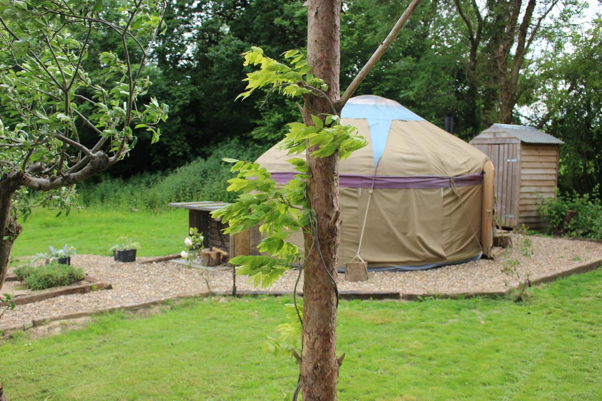The Yurt At Worcesters Farm كانتربيري المظهر الخارجي الصورة