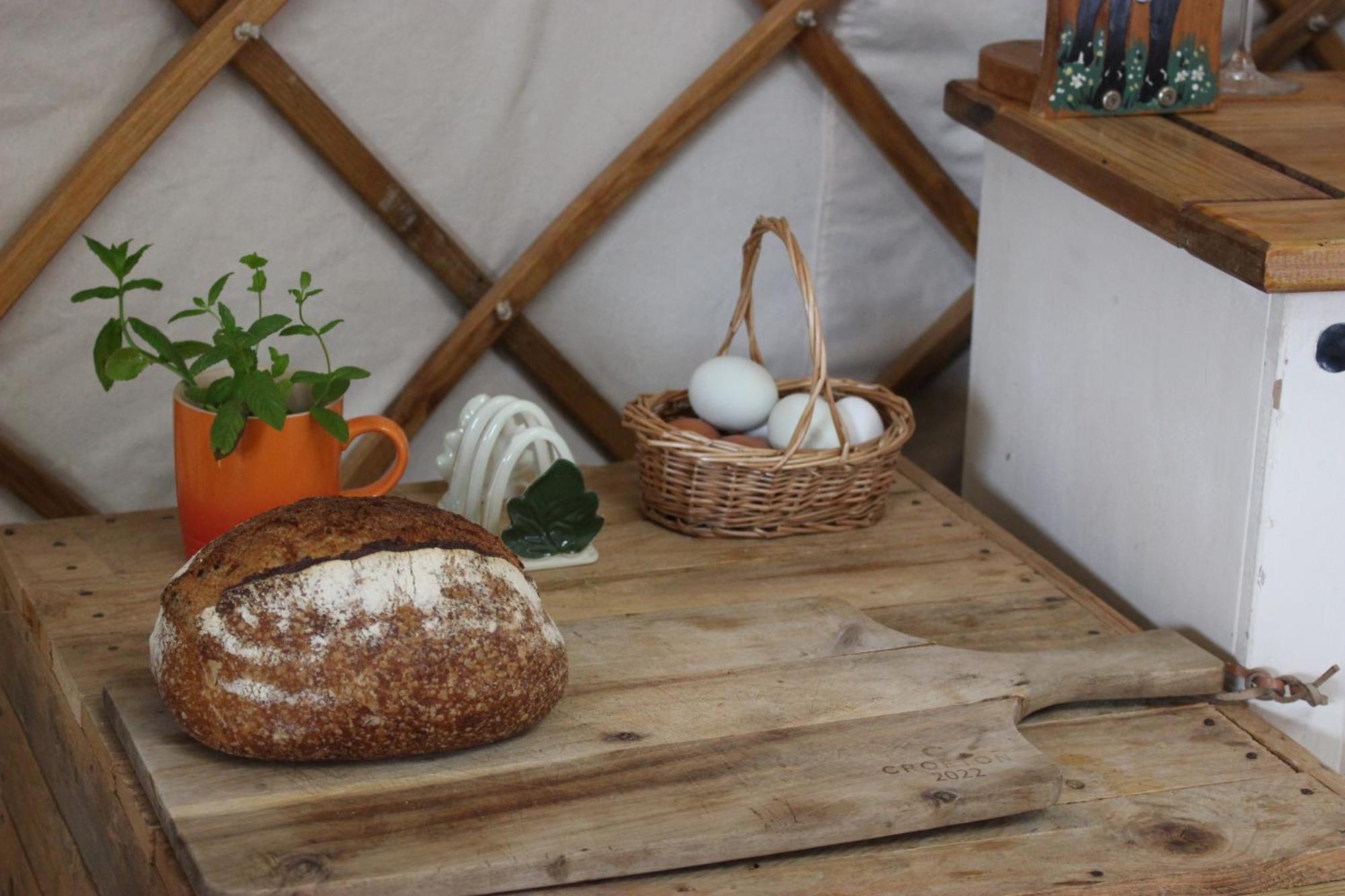 The Yurt At Worcesters Farm كانتربيري المظهر الخارجي الصورة